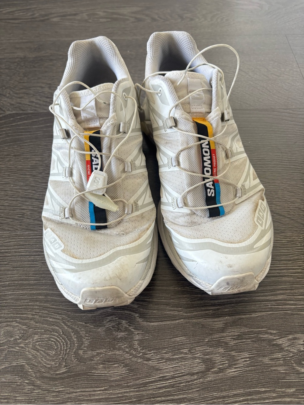 Salomon XT6